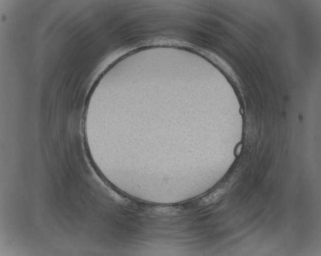 X0000081290847200702012242