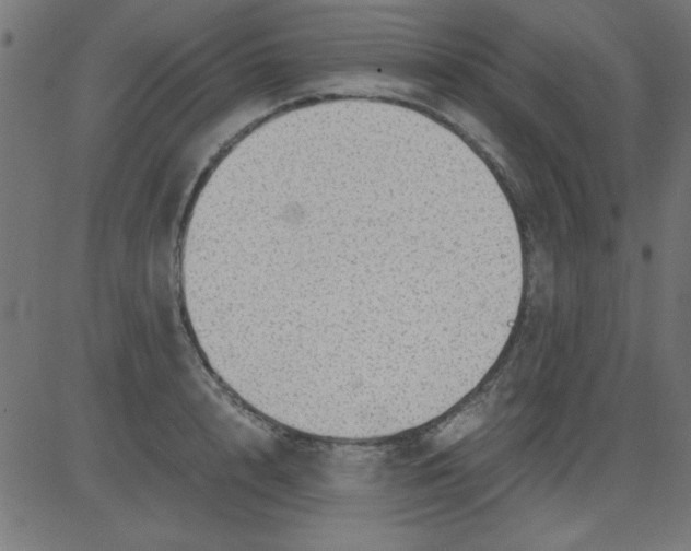 X0000081290848200702012242