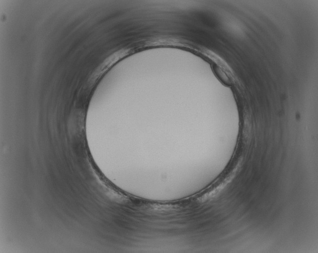 X0000081290849200702012242