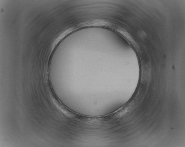 X0000081290850200702012242