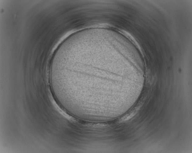 X0000081290851200702012242