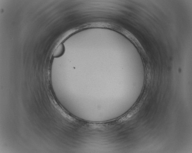 X0000081290852200702012242