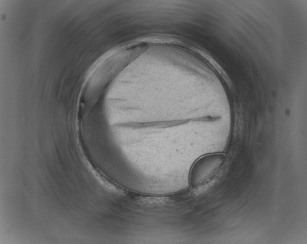 X0000081290853200702012242