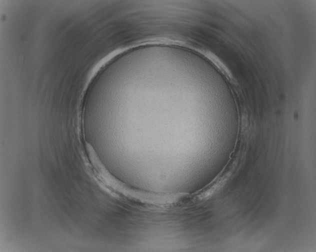 X0000081290854200702012242