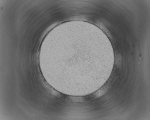 X0000081290856200702012242