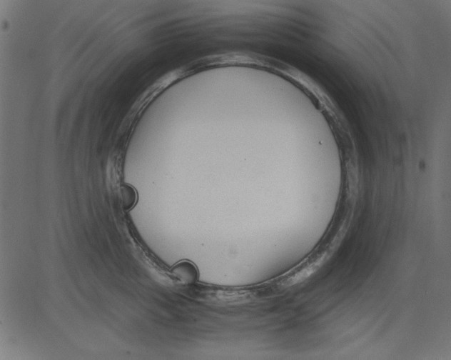 X0000081290857200702012242