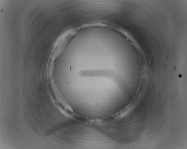 X0000081290858200702012242