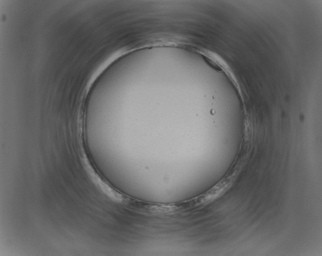 X0000081290859200702012242