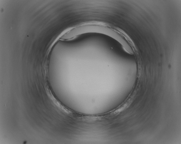 X0000081290860200702012242