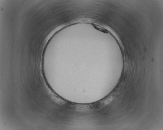 X0000081290861200702012242