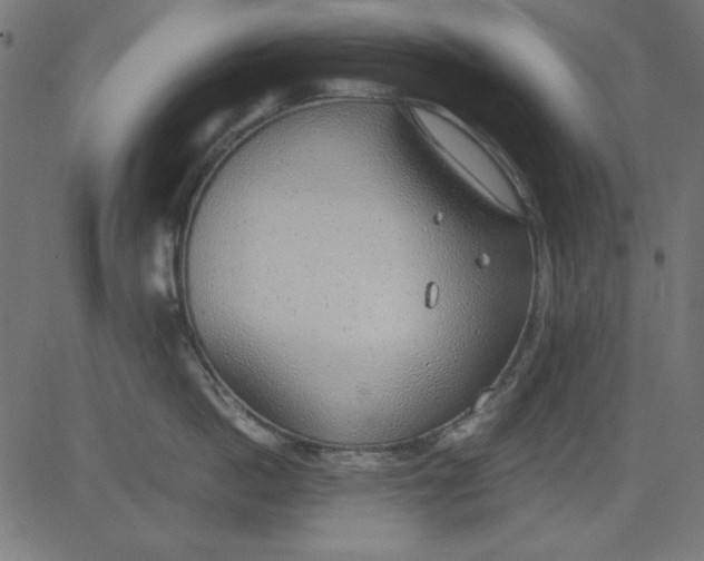 X0000081290862200702012242