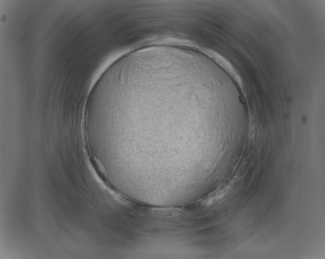 X0000081290863200702012242