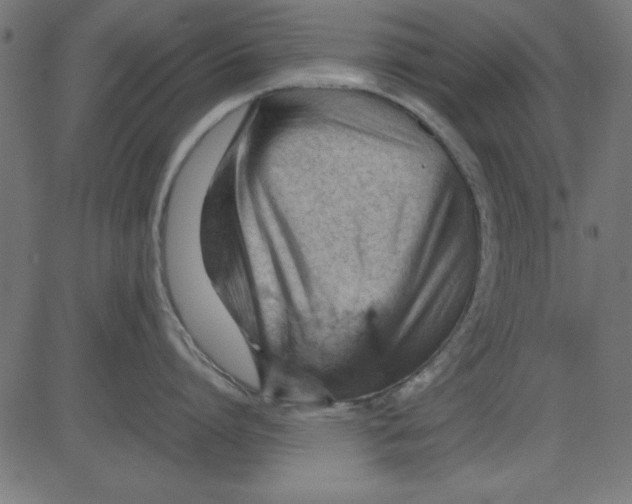 X0000081290864200702012242