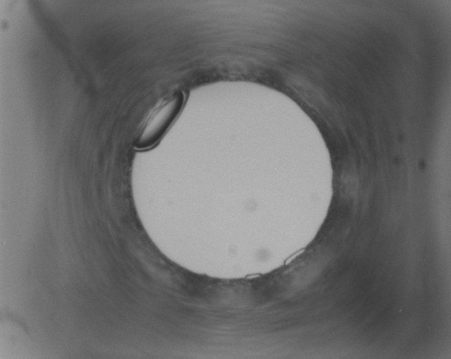 X0000081290865200702012242