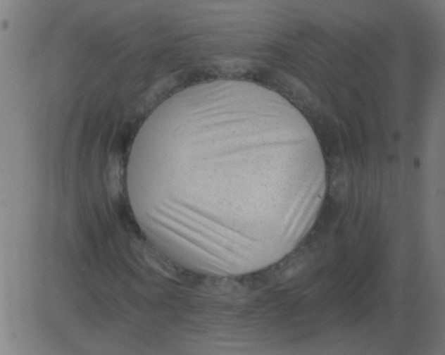 X0000081290866200702012242