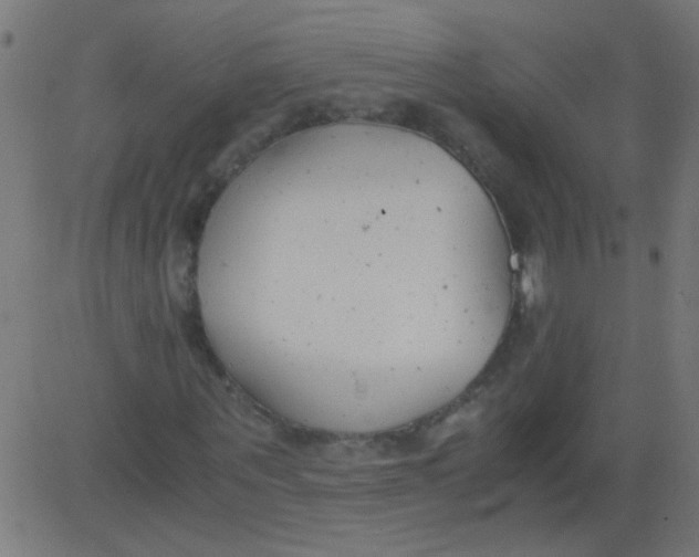 X0000081290867200702012242