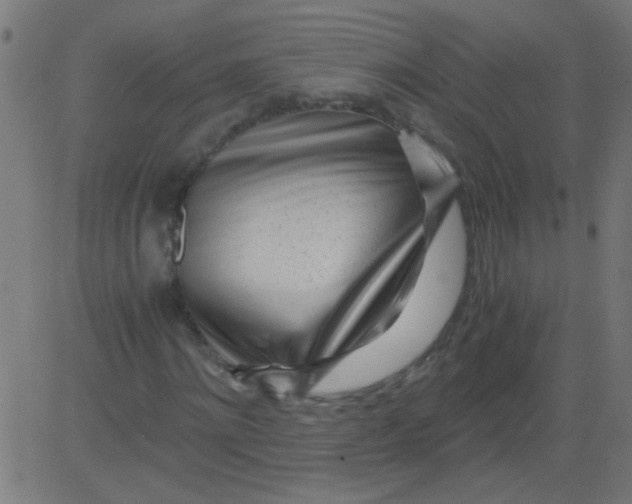 X0000081290868200702012242