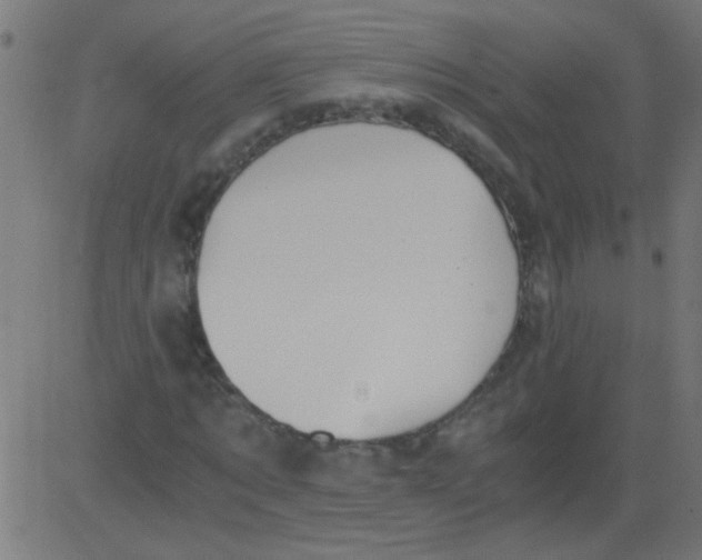 X0000081290869200702012242