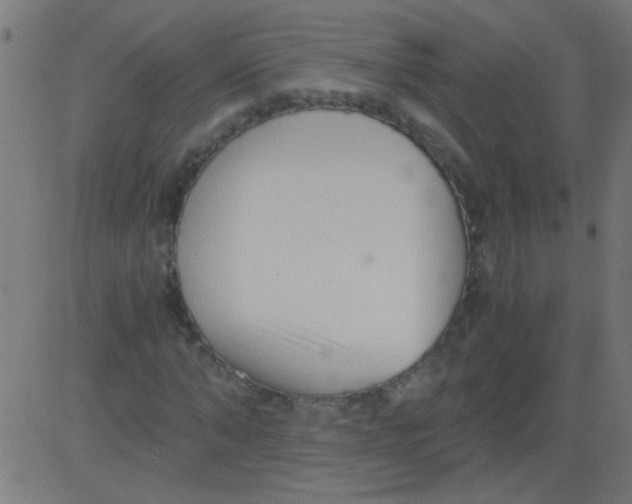 X0000081290870200702012242