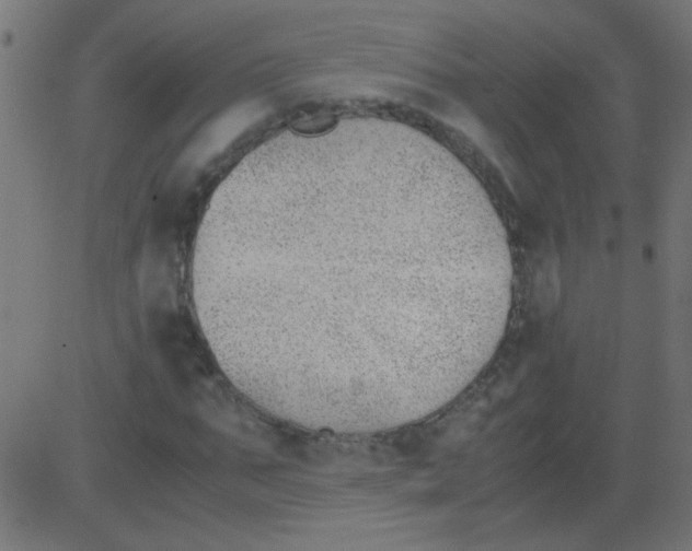 X0000081290871200702012242