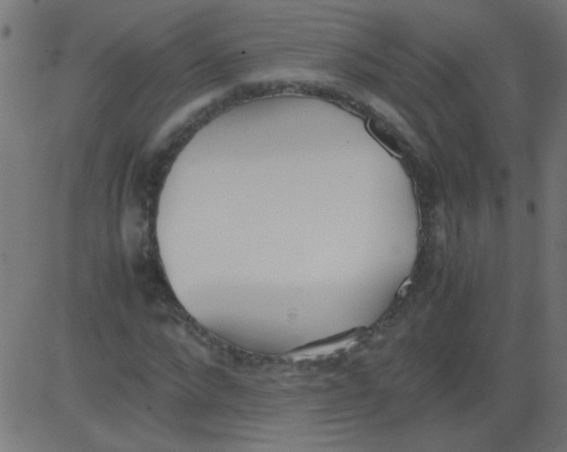 X0000081290872200702012242