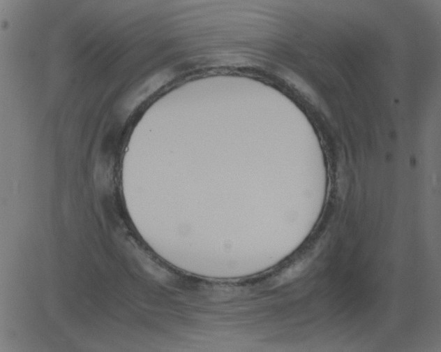 X0000081290873200702012242