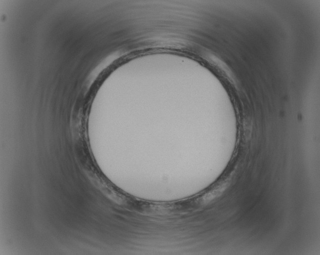 X0000081290875200702012241