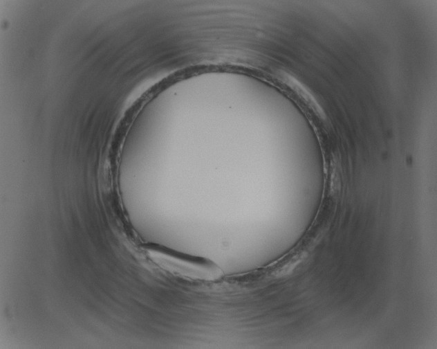 X0000081290876200702012241