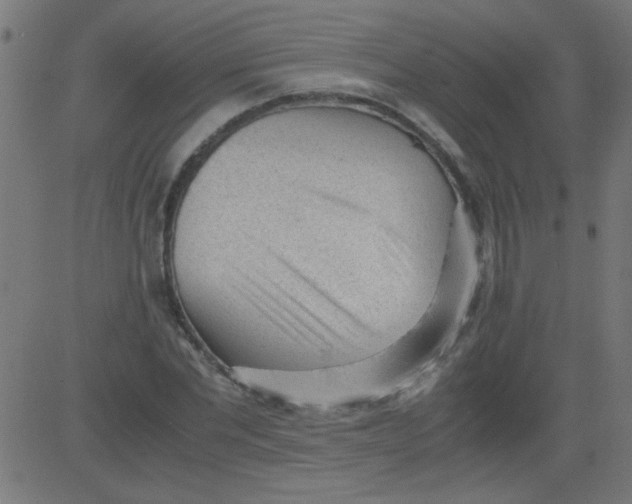 X0000081290877200702012241