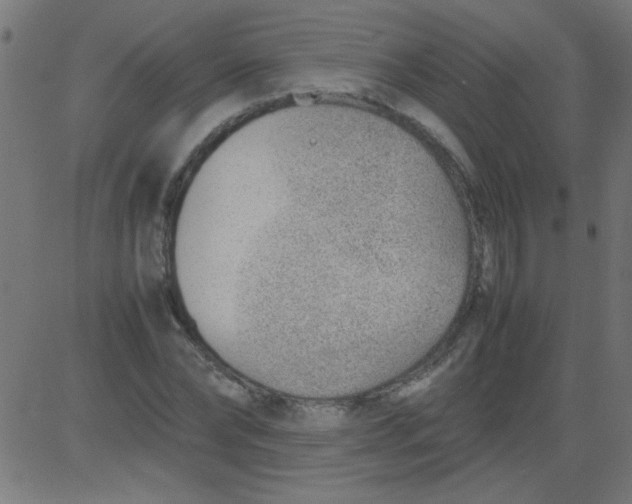 X0000081290878200702012241