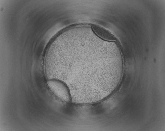 X0000081290879200702012241