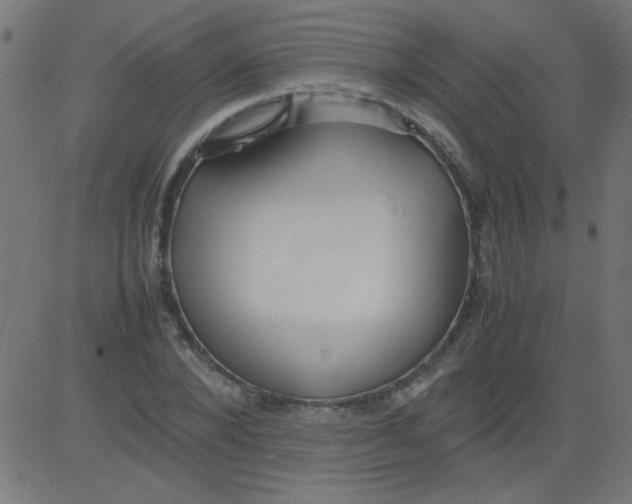 X0000081290880200702012241