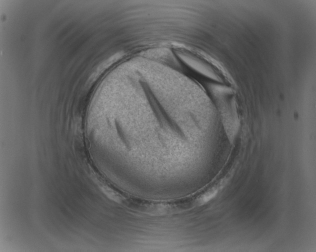 X0000081290881200702012241