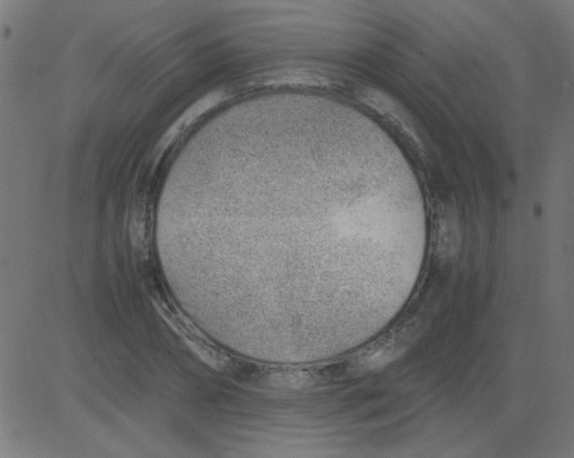 X0000081290882200702012241