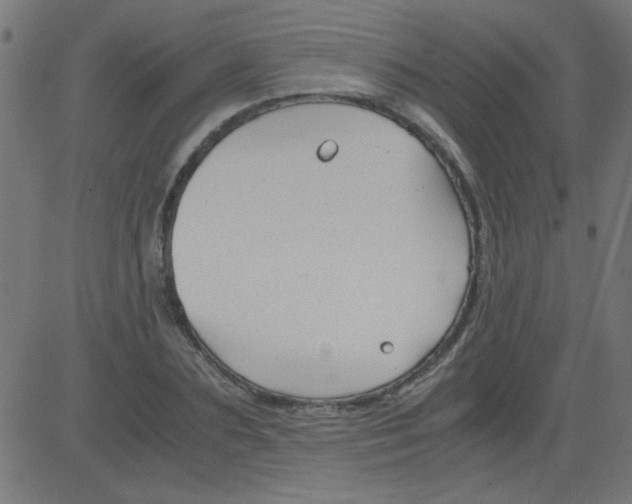 X0000081290883200702012241