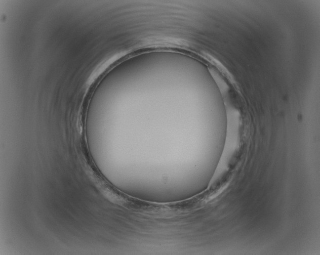 X0000081290885200702012241