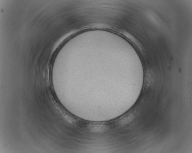 X0000081290886200702012241