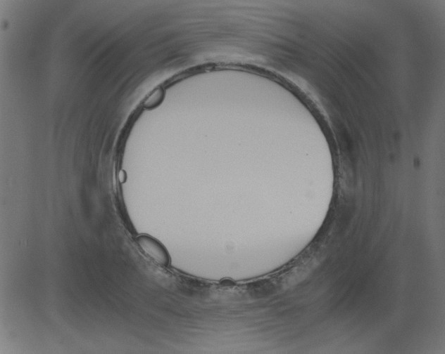 X0000081290887200702012241