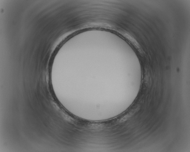 X0000081290888200702012241