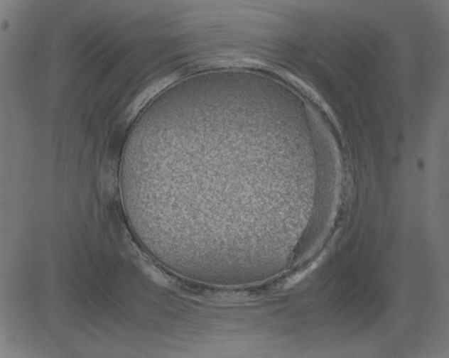 X0000081290889200702012241