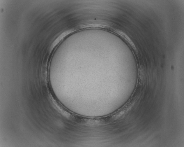 X0000081290890200702012241