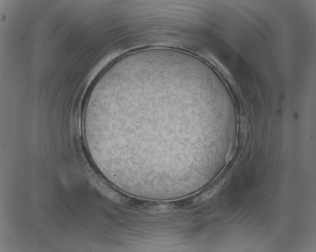 X0000081290891200702012241