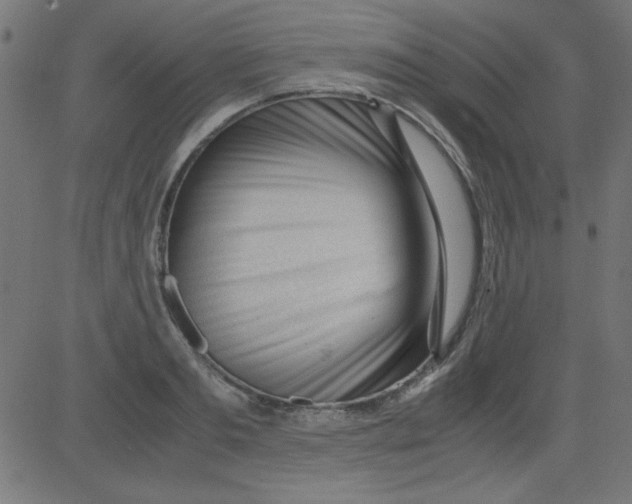 X0000081290893200702012241