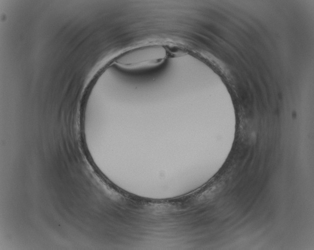 X0000081290894200702012241