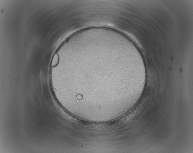 X0000081290895200702012241