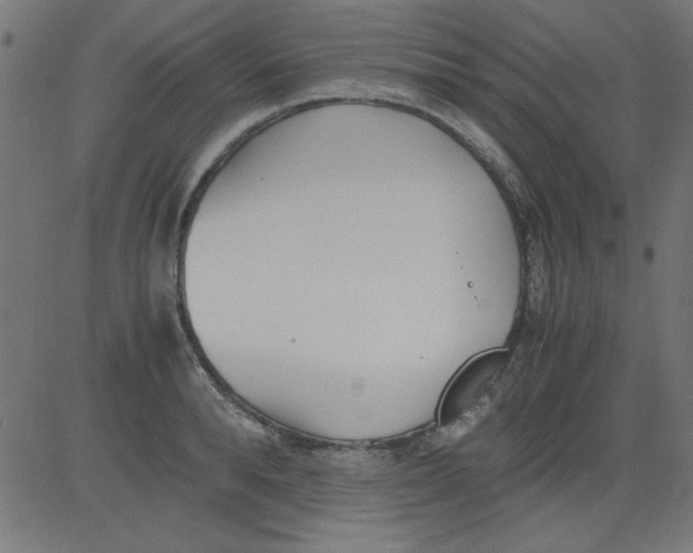 X0000081290896200702012241