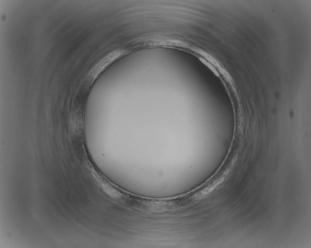 X0000081290897200702012241