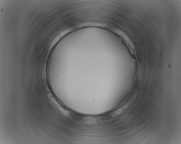 X0000081290898200702012241