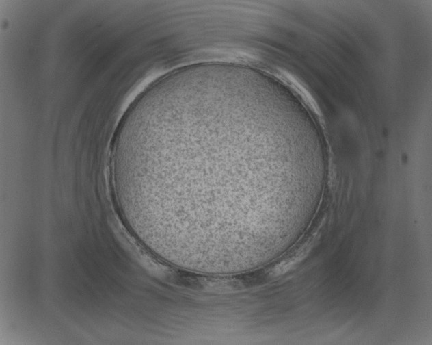 X0000081290899200702012241