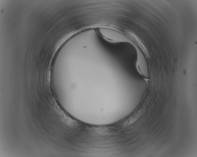 X0000081290900200702012241